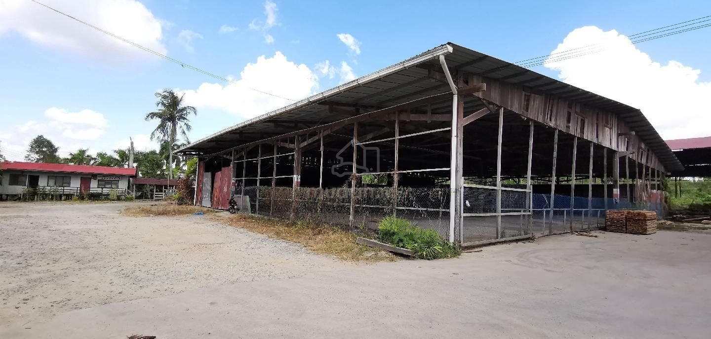 WhatsApp Image 2026-01-30 at 10.37.28 AM