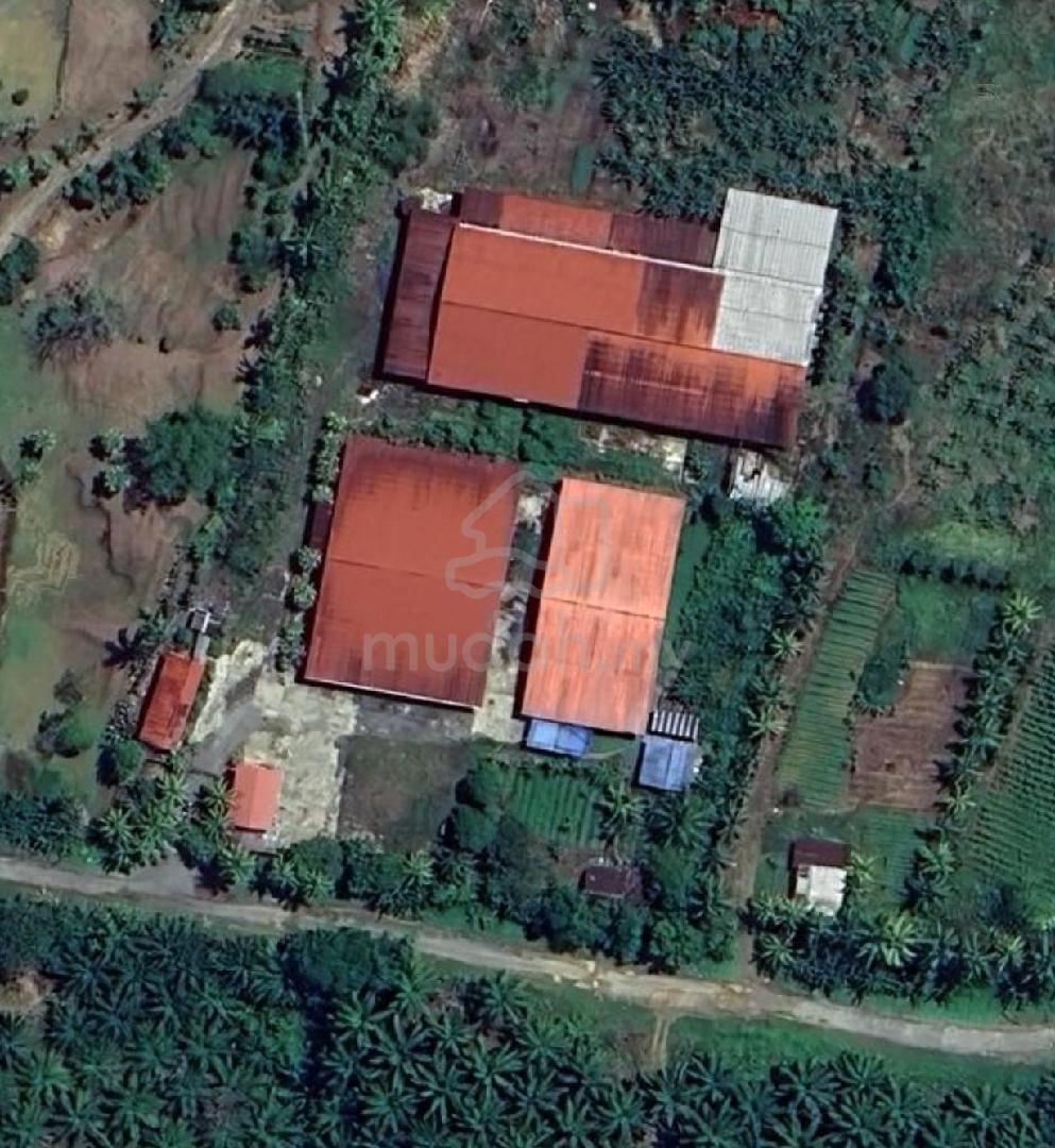 WhatsApp Image 2026-01-30 at 10.37.29 AM