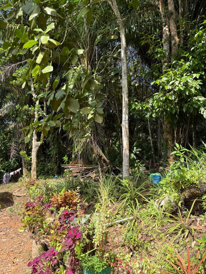 WhatsApp Image 2026-01-31 at 2.26.03 PM (2)