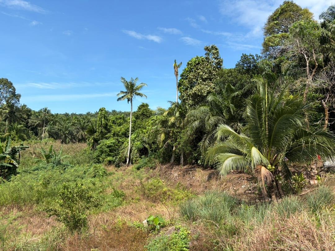 WhatsApp Image 2026-01-31 at 2.26.03 PM (3)