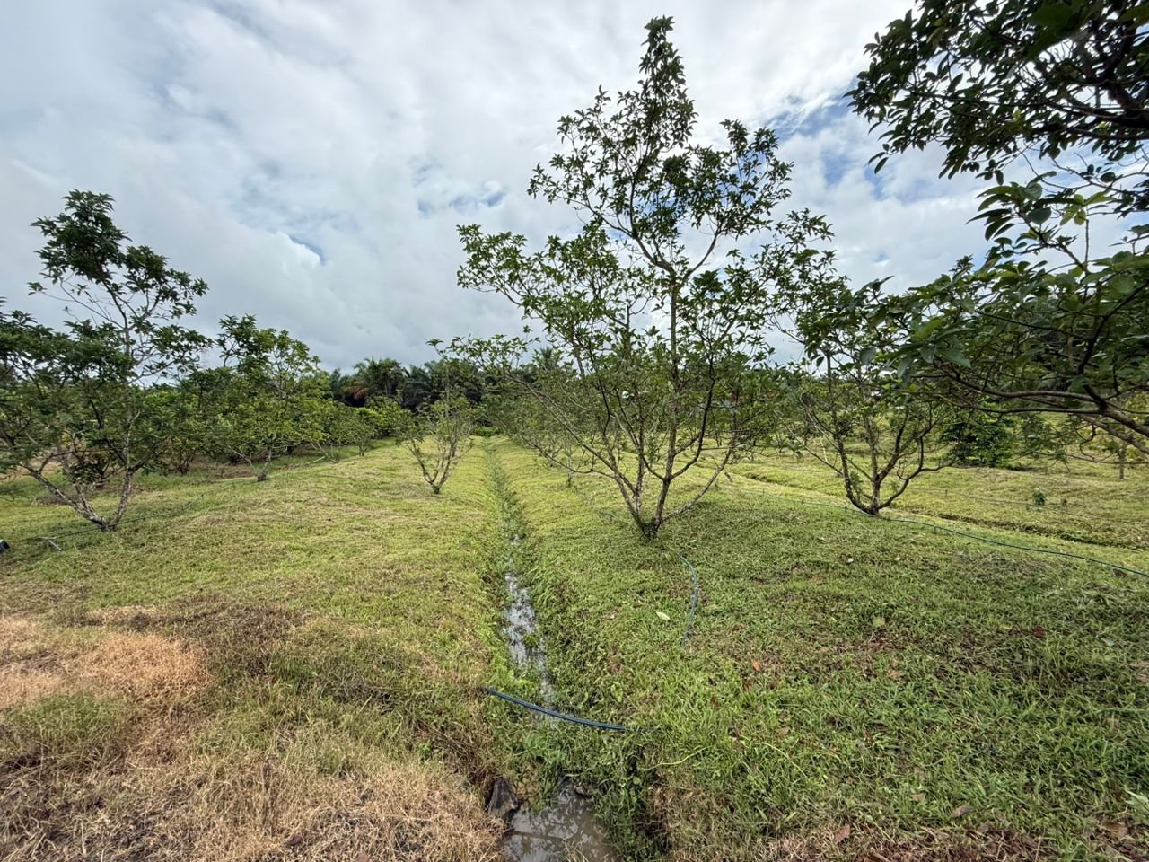 WhatsApp Image 2026-02-24 at 11.51.20 AM