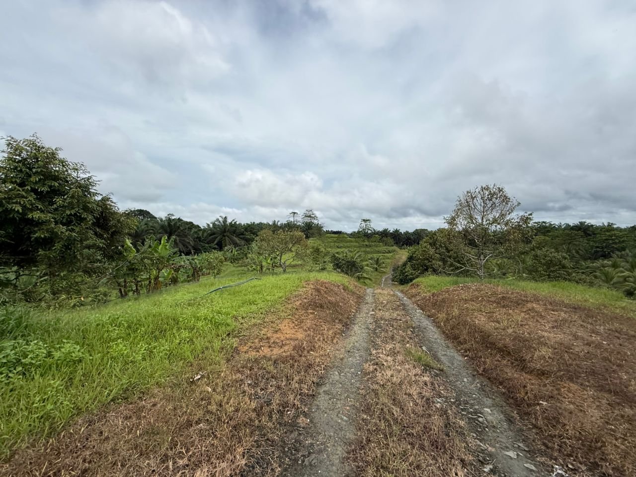 WhatsApp Image 2026-02-24 at 11.51.21 AM (1)