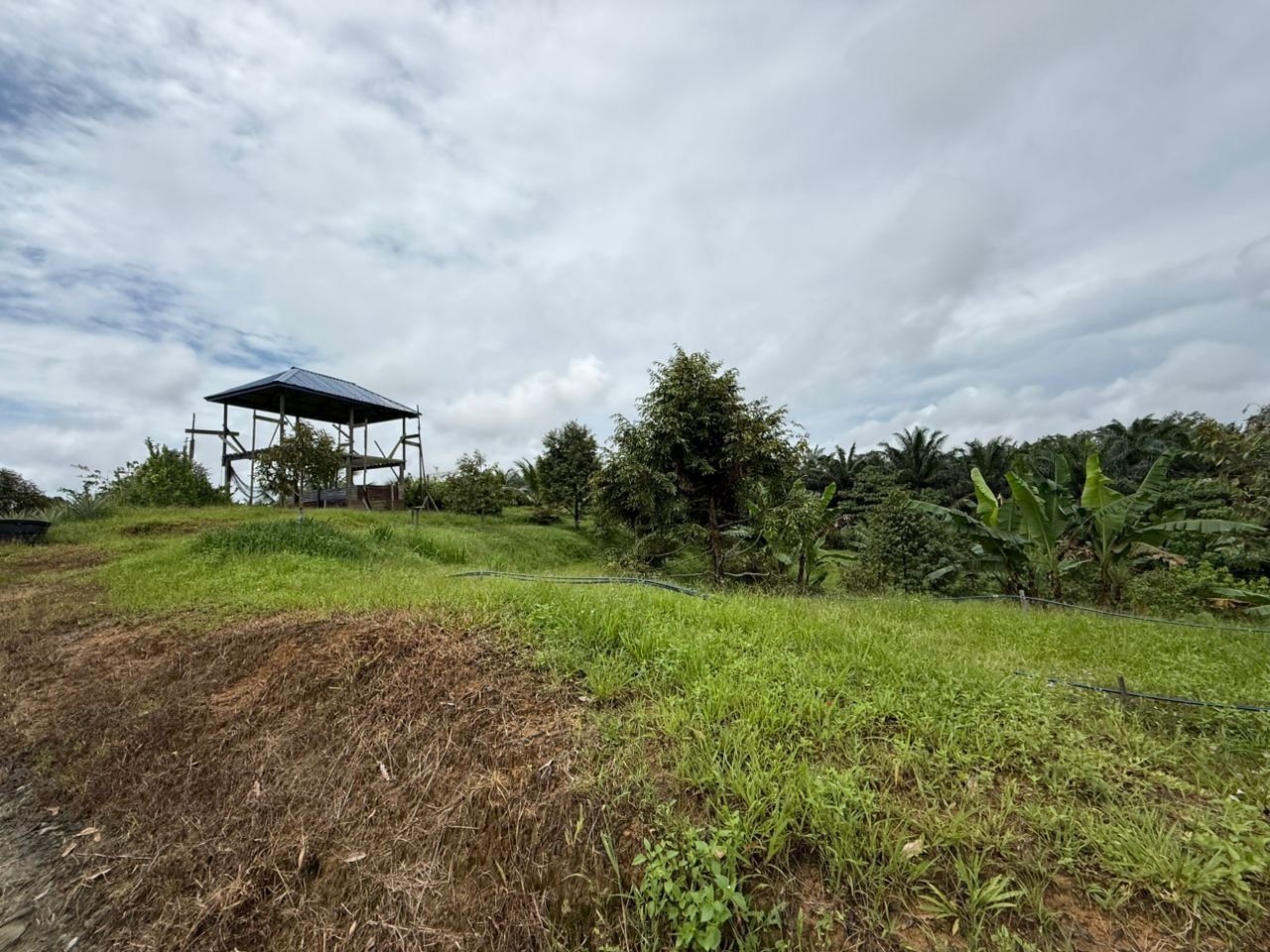 WhatsApp Image 2026-02-24 at 11.51.21 AM (2)