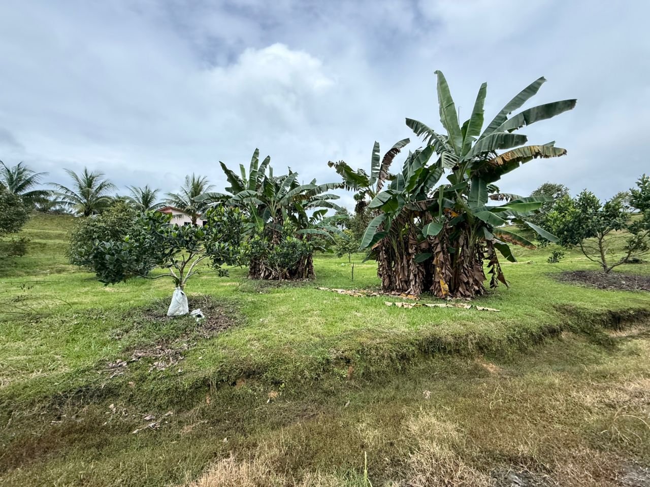 WhatsApp Image 2026-02-24 at 11.51.21 AM