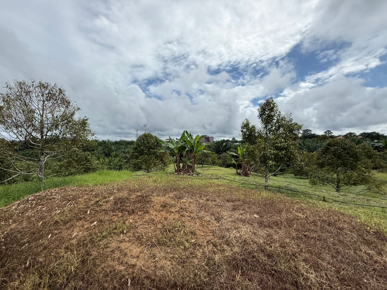 WhatsApp Image 2026-02-24 at 11.51.22 AM