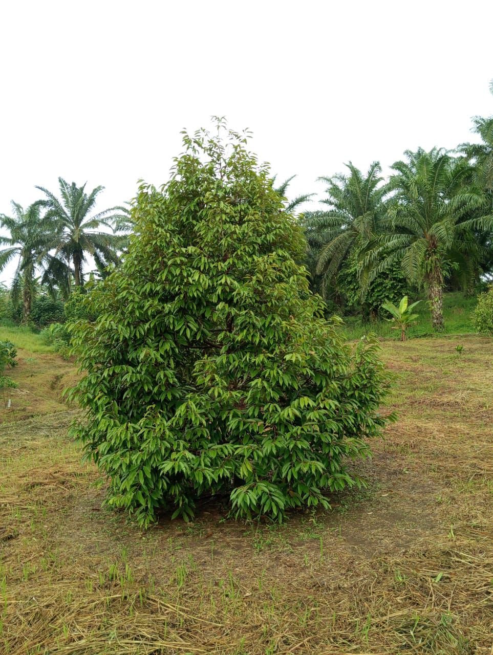 WhatsApp Image 2026-02-25 at 2.06.33 PM