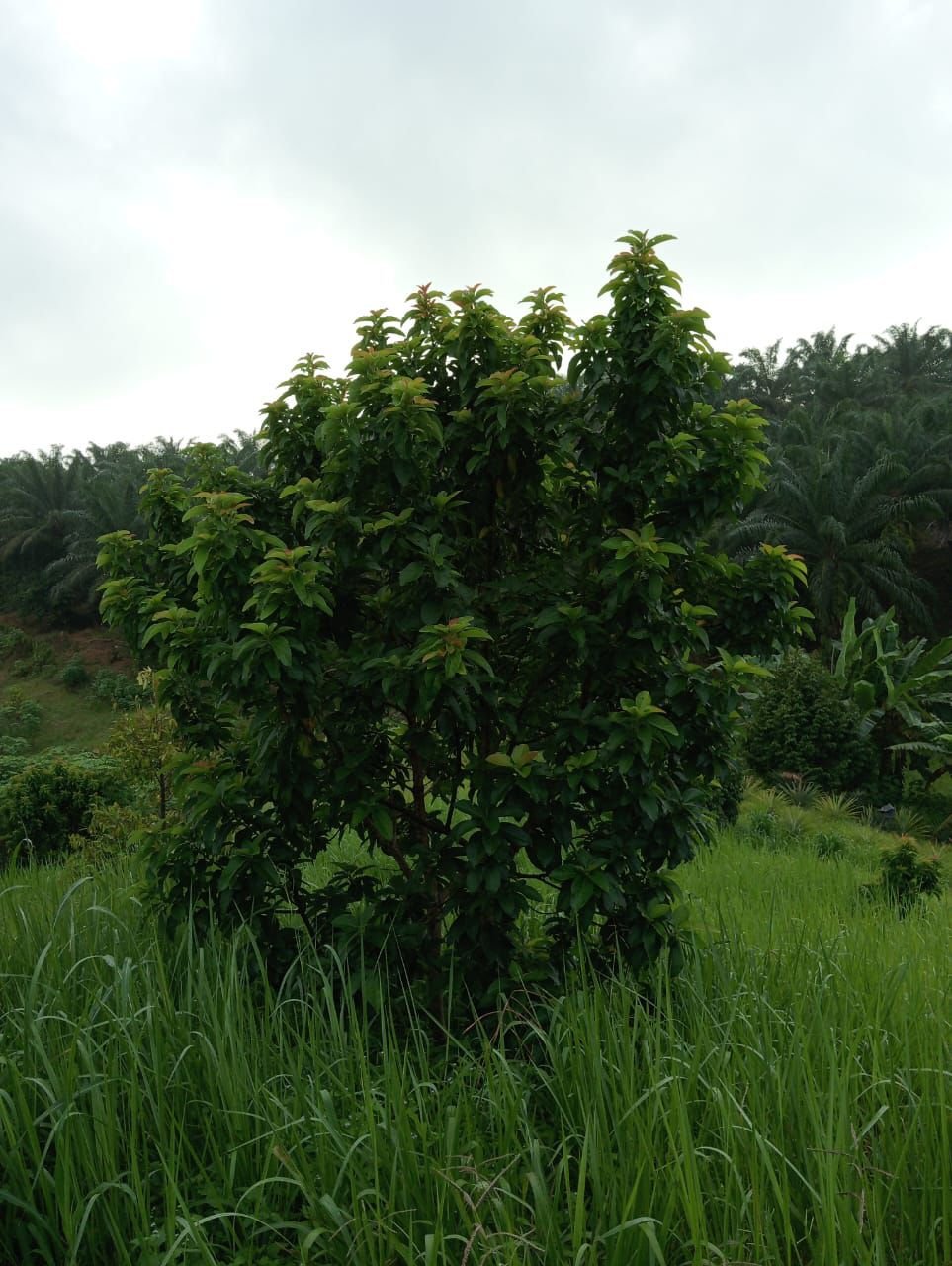 WhatsApp Image 2026-02-25 at 2.06.34 PM