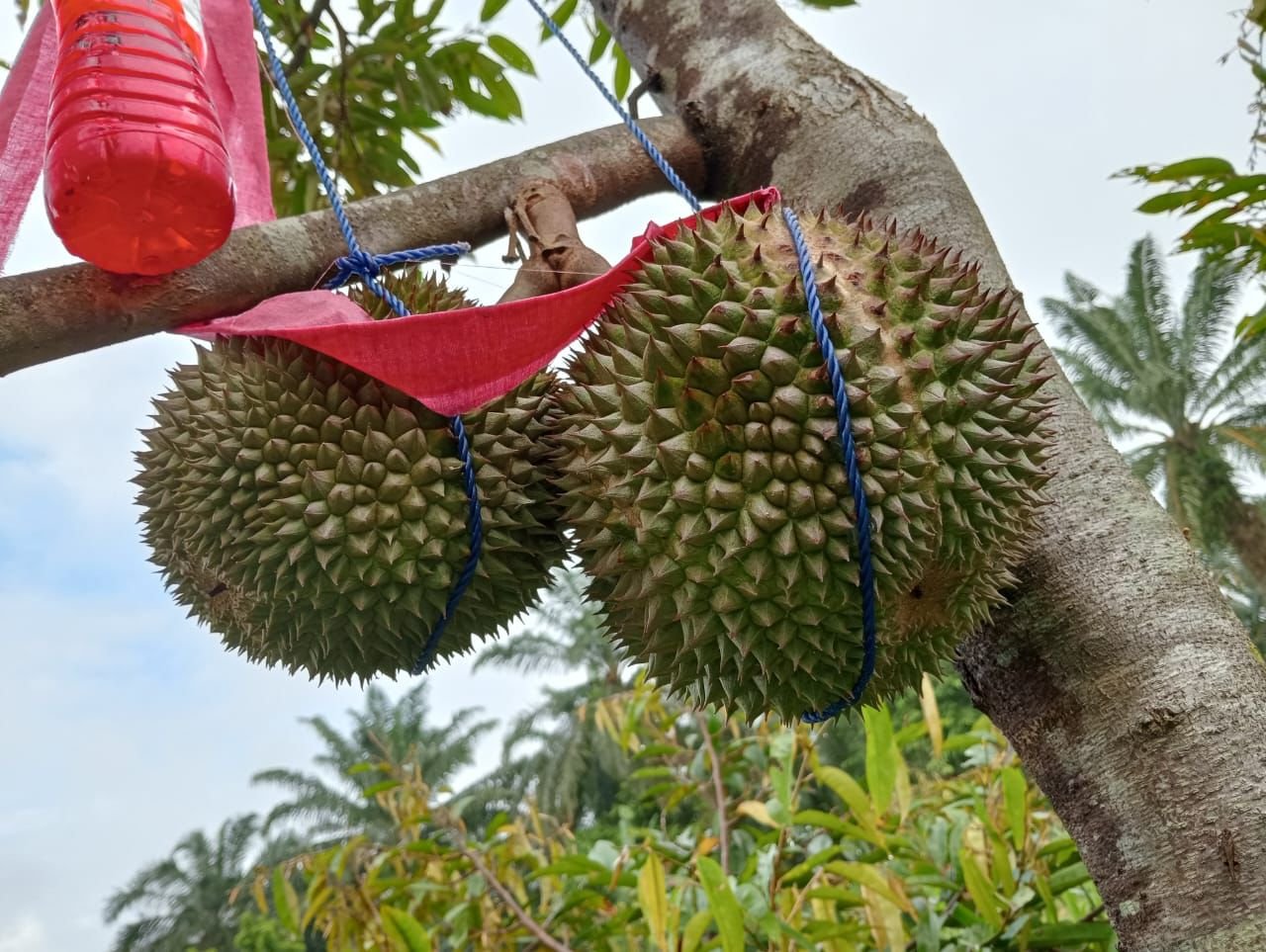 WhatsApp Image 2026-02-25 at 2.06.35 PM