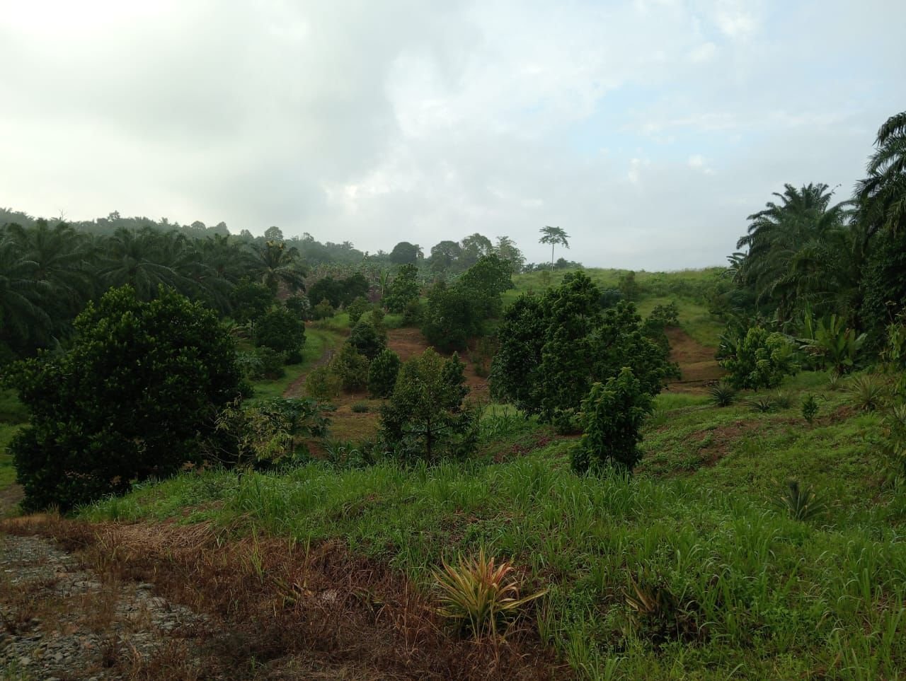 WhatsApp Image 2026-02-25 at 2.06.36 PM