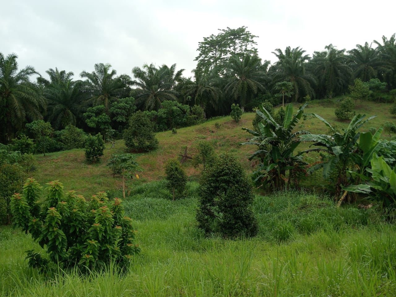 WhatsApp Image 2026-02-25 at 2.06.37 PM